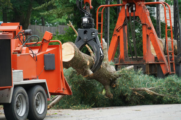 Best Weed Control  in Hudson, MI